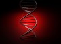 20100424-1002992_dna