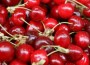 20100424-1209473_cherries