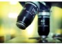 20100729-microscope