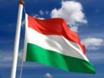 20101127-hunflag