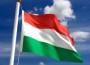 20101127-hunflag 20101127-hunflag