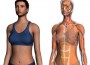 20101218_google_body_browser