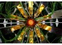 cern cern