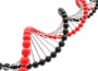 render of DNA render of DNA