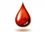 blood-ver-health-doc blood-ver-health-doc